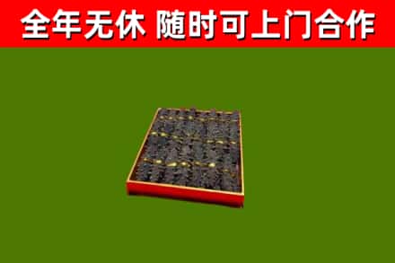 墨江回收海参